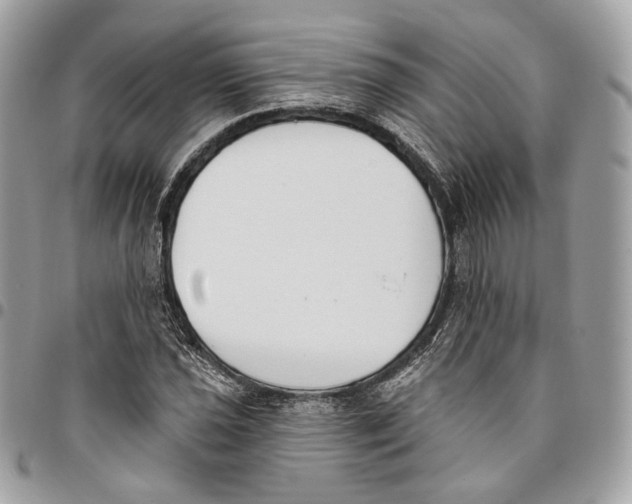 X0000096151021200802081406