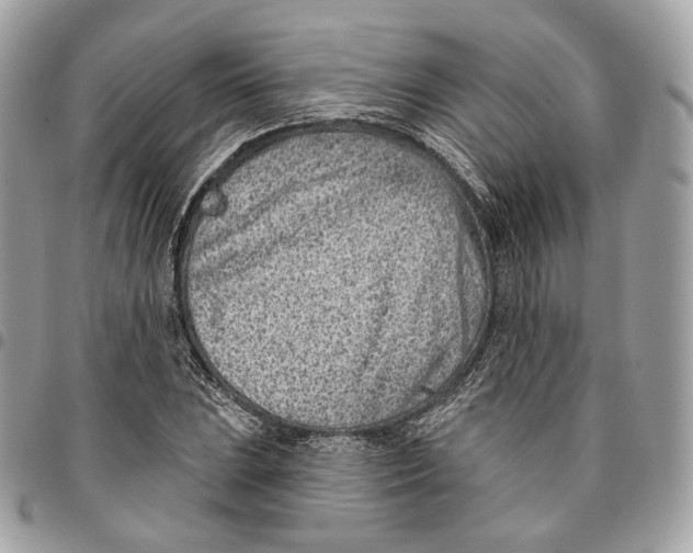 X0000096151023200802081406