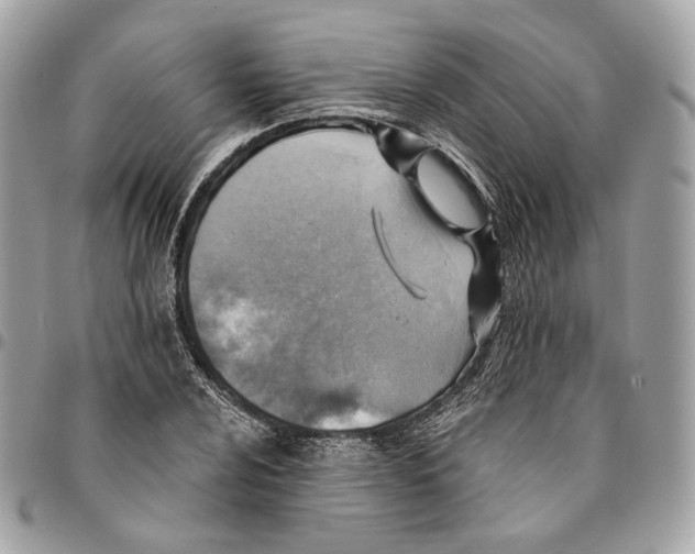 X0000096151024200802081406