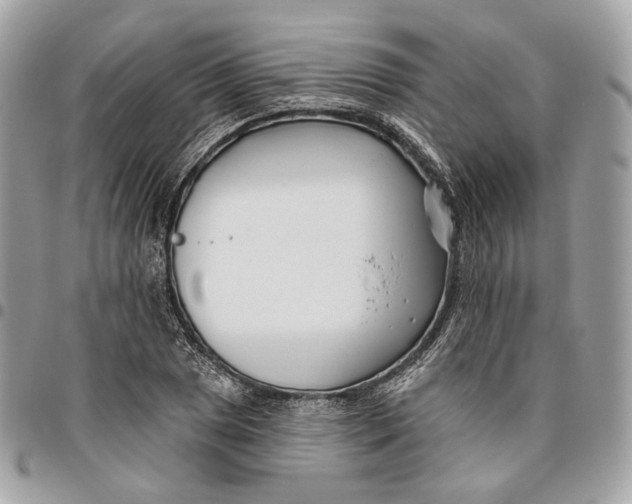 X0000096151025200802081407