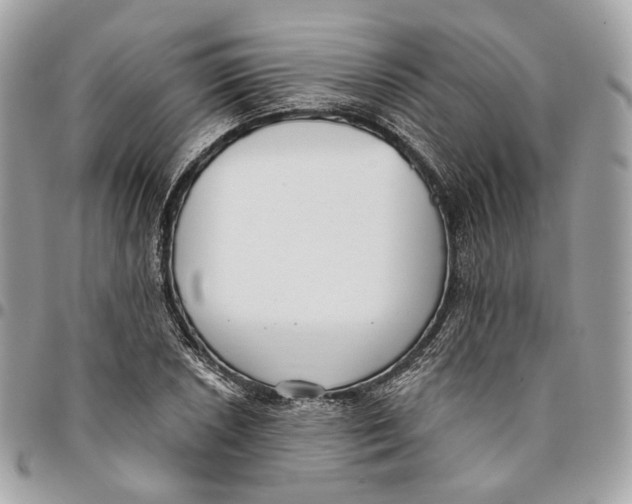 X0000096151026200802081407