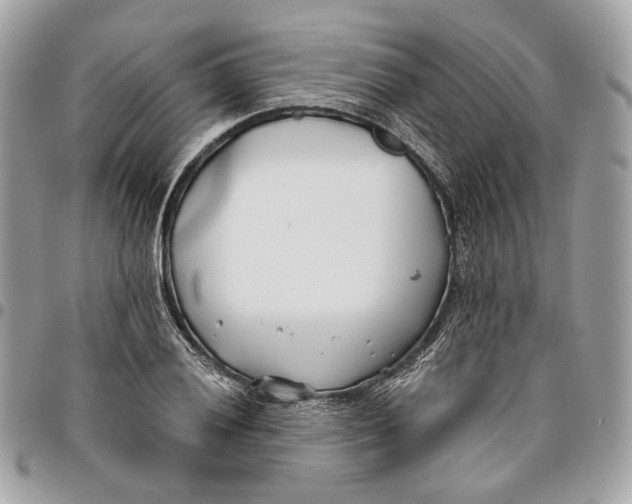 X0000096151028200802081407