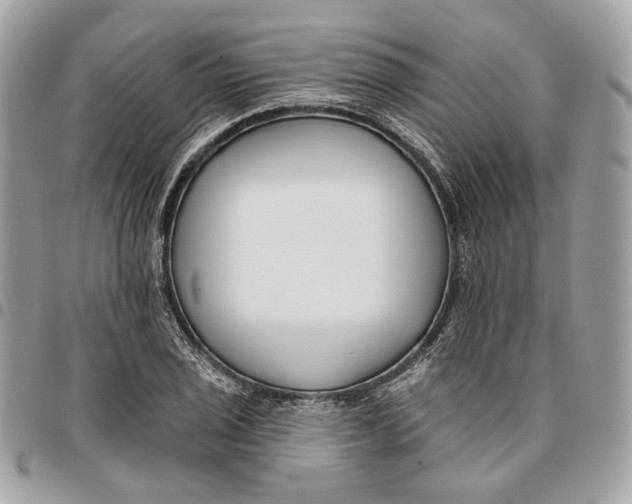 X0000096151029200802081407