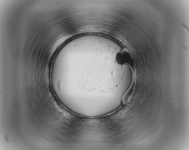 X0000096151030200802081407