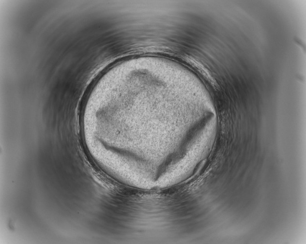 X0000096151031200802081407