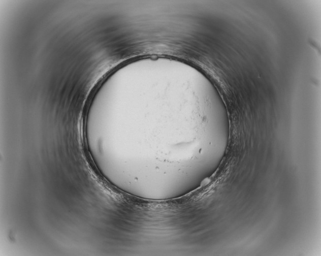 X0000096151032200802081407