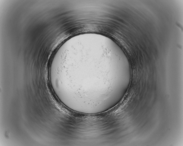 X0000096151034200802081407