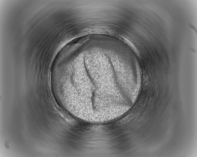 X0000096151035200802081407