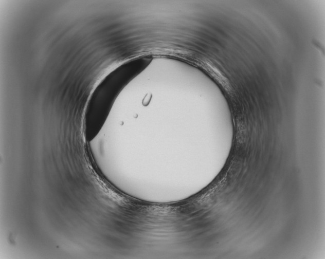 X0000096151036200802081407