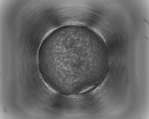 X0000096151037200802081407