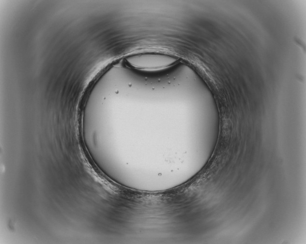 X0000096151038200802081407