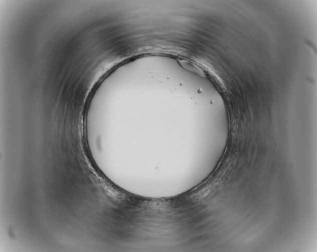 X0000096151040200802081407