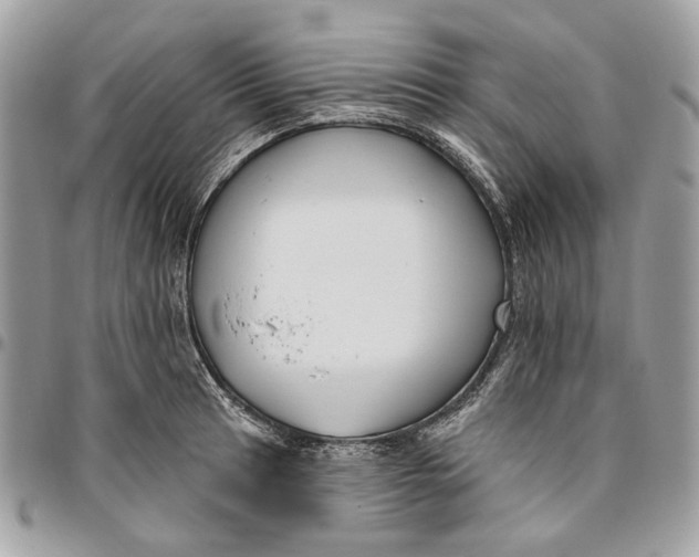 X0000096151041200802081407