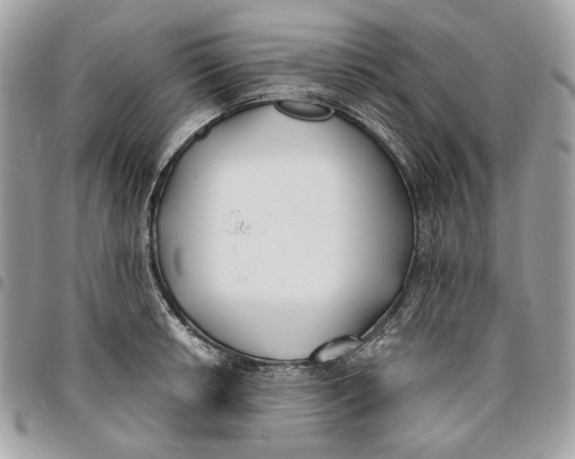 X0000096151042200802081407