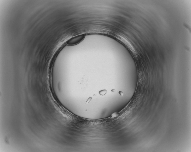 X0000096151043200802081407