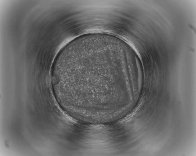 X0000096151045200802081407