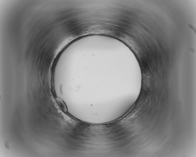 X0000096151046200802081407