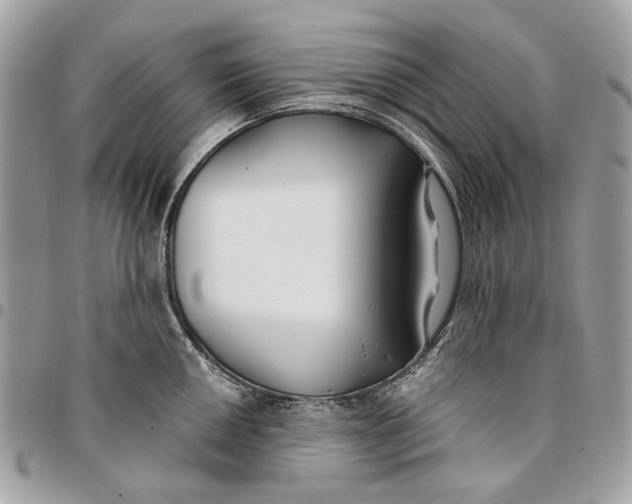 X0000096151050200802081407