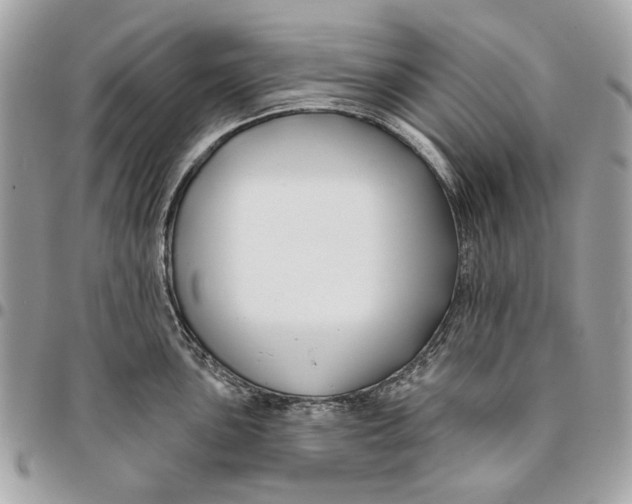 X0000096151051200802081407