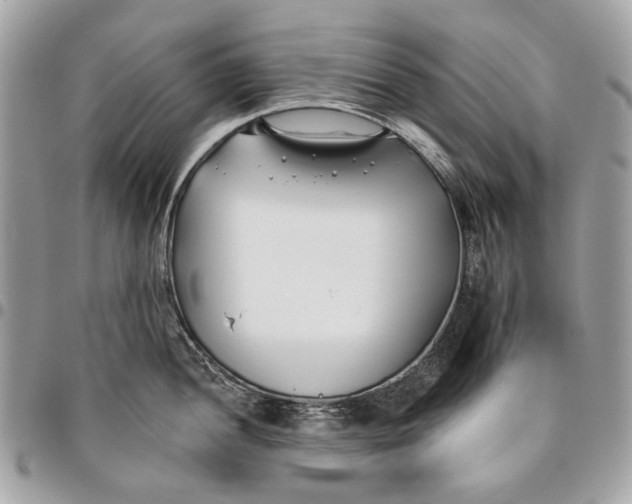 X0000096151052200802081407