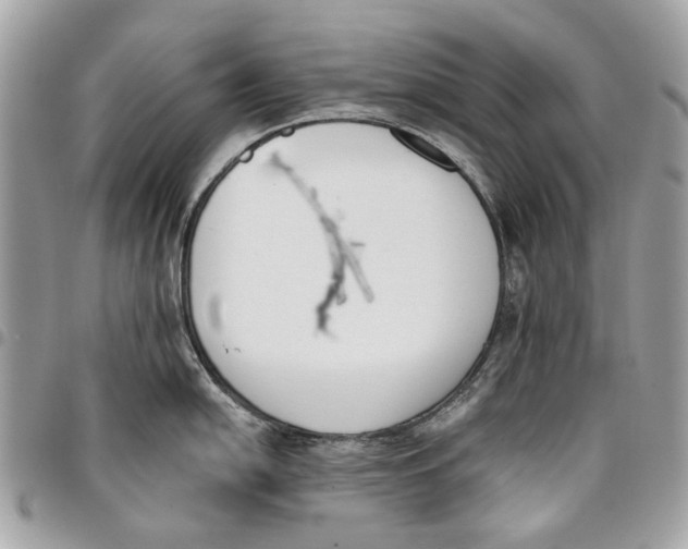 X0000096151054200802081407