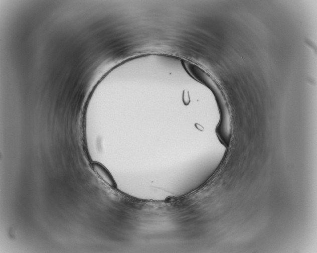 X0000096151056200802081407