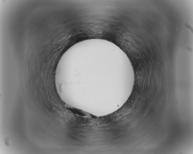 X0000096151057200802081406