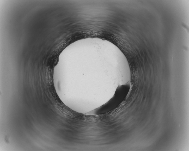 X0000096151058200802081406