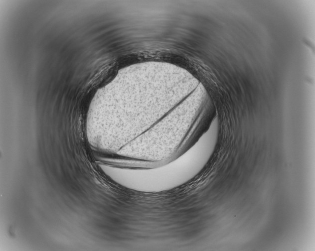 X0000096151060200802081406