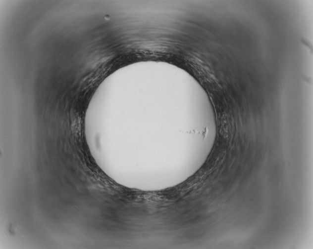 X0000096151061200802081406