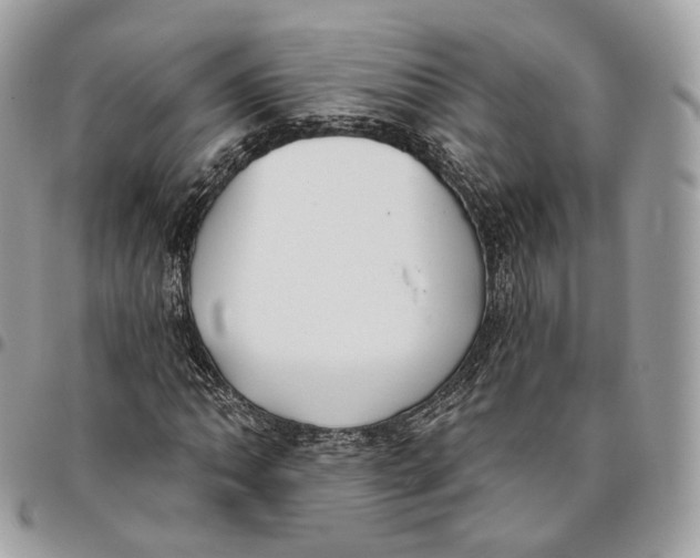 X0000096151062200802081406