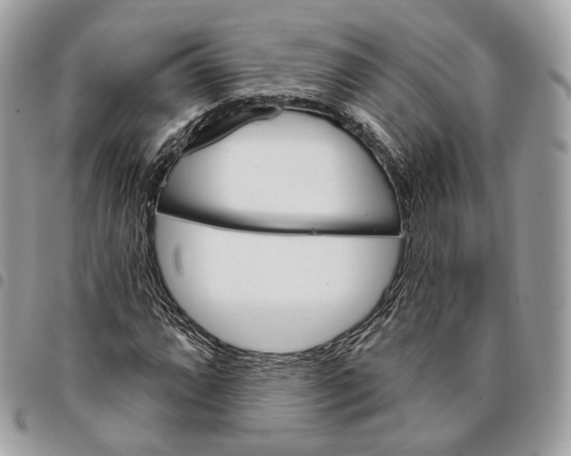 X0000096151064200802081406