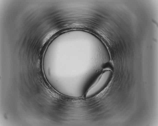 X0000096151066200802081406