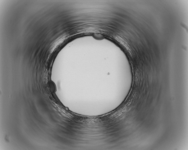 X0000096151067200802081406