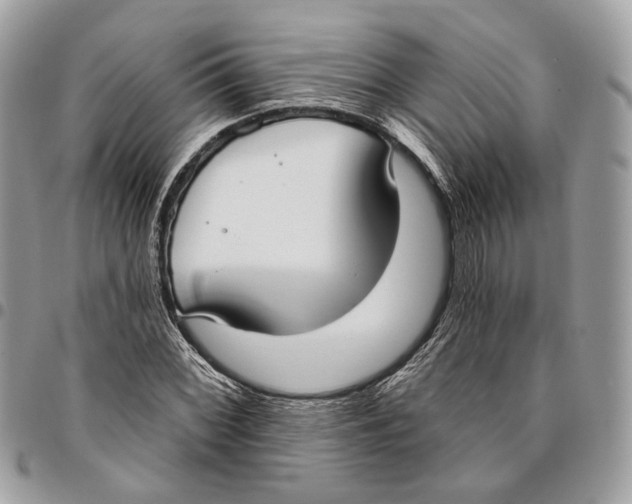 X0000096151068200802081406