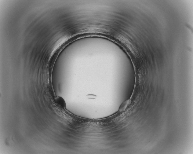 X0000096151069200802081406