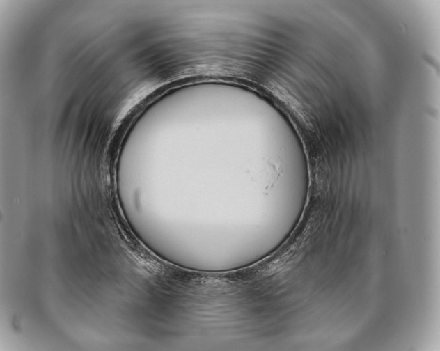 X0000096151070200802081406