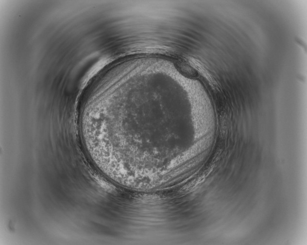 X0000096151071200802081406