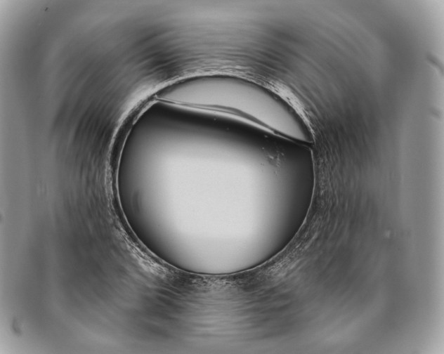 X0000096151072200802081406