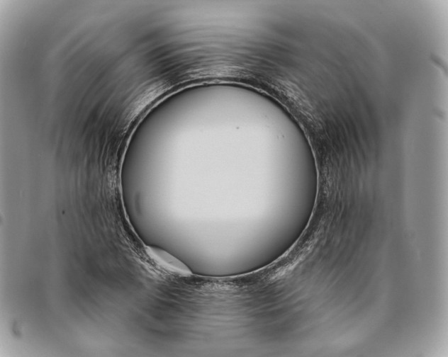 X0000096151073200802081406