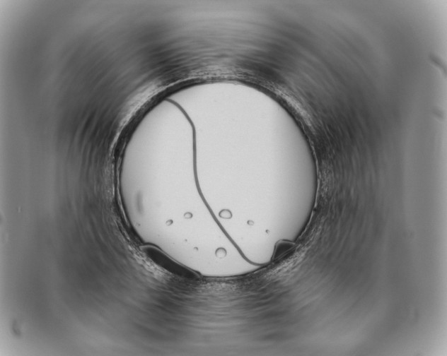 X0000096151075200802081406