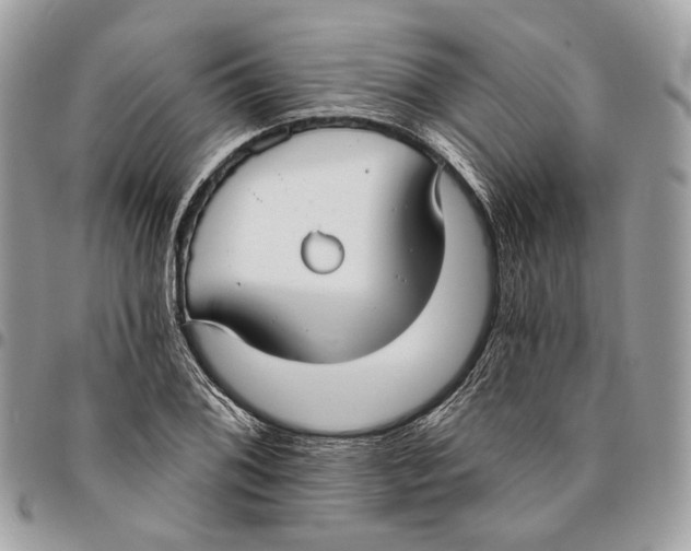 X0000096151076200802081406