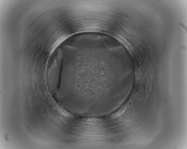 X0000096151077200802081406