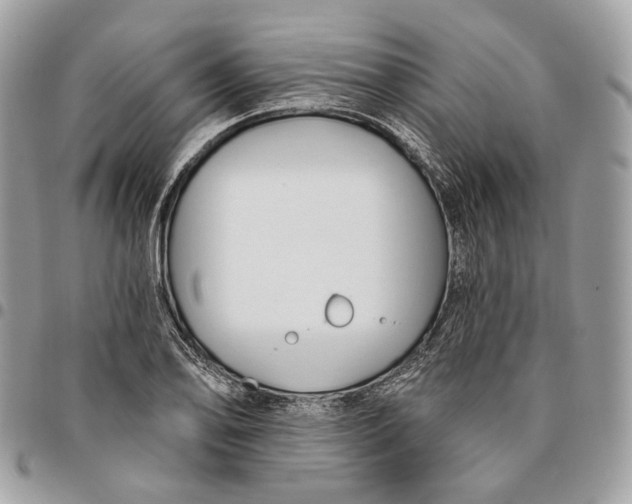 X0000096151078200802081406