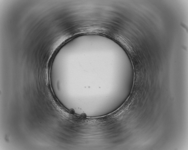 X0000096151079200802081406