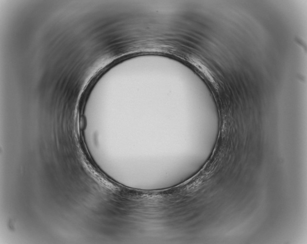 X0000096151080200802081406