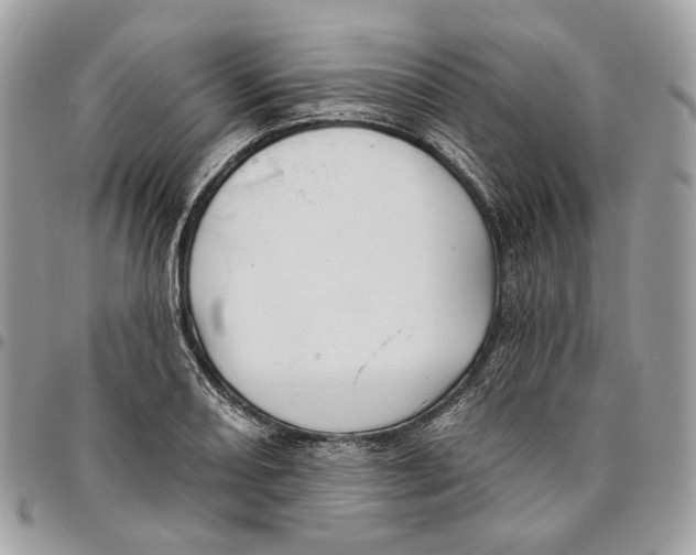 X0000096151082200802081406