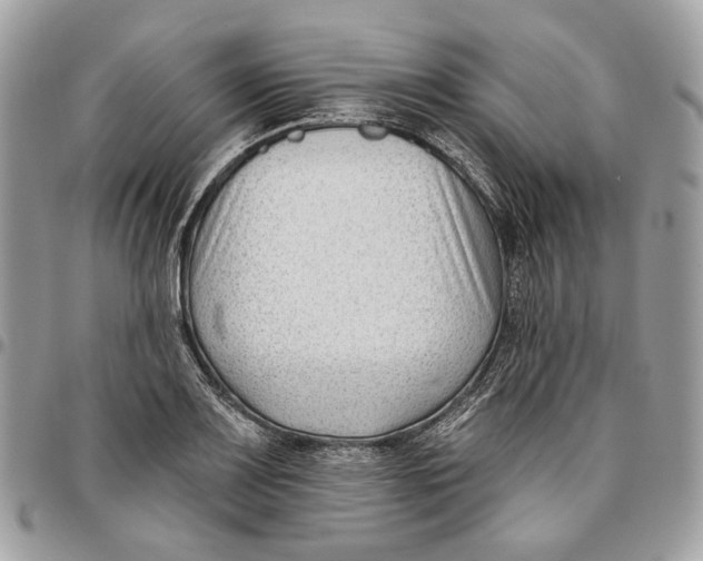 X0000096151083200802081406