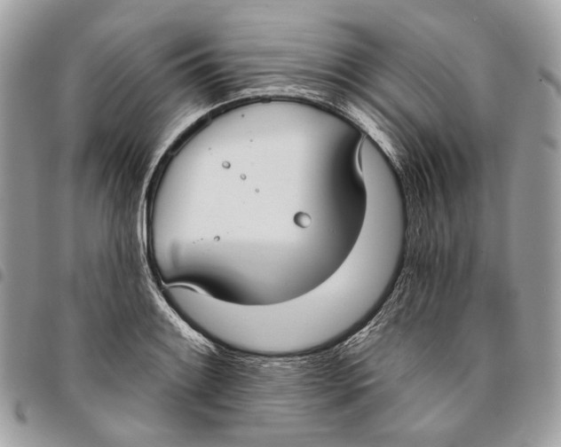 X0000096151084200802081406