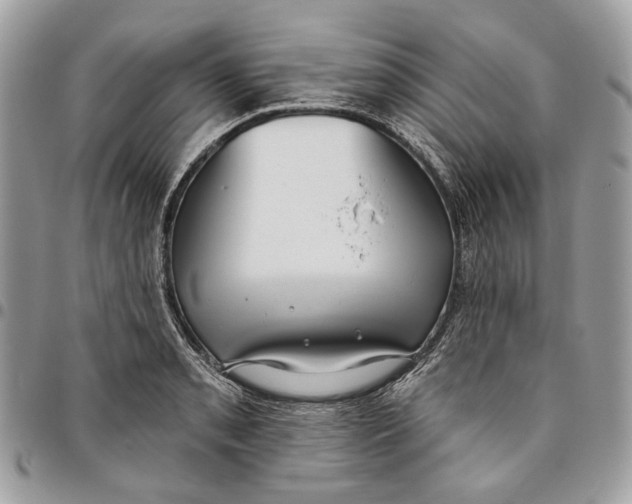 X0000096151085200802081406